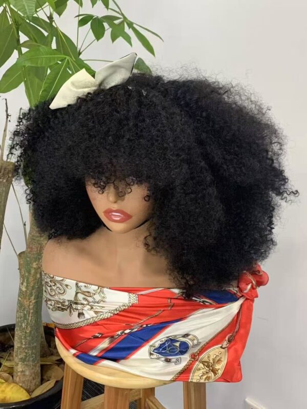 Density 310% kinky afro fringe closure wig 14inch - Image 2